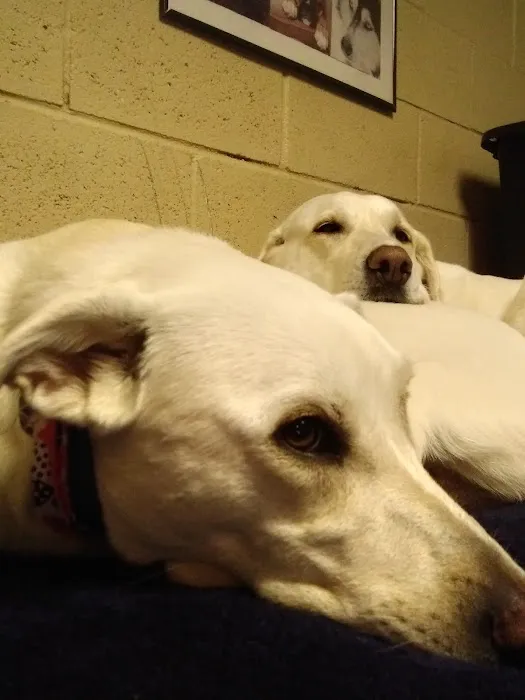 Pauls Valley Veterinary Clinic Picture 1