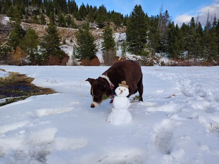 Williamsburg Small Animal Hospital Picture 5