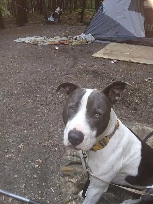 Williamsburg Small Animal Hospital Picture 6