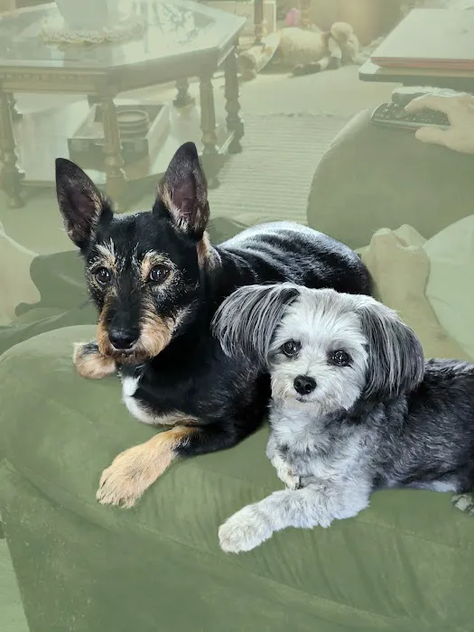 Williamsburg Small Animal Hospital Picture 3