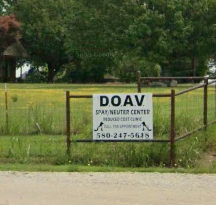 Doav Animal low Cost Spay and neuter Picture 5