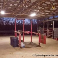 Equine-Reproduction.com LLC ico