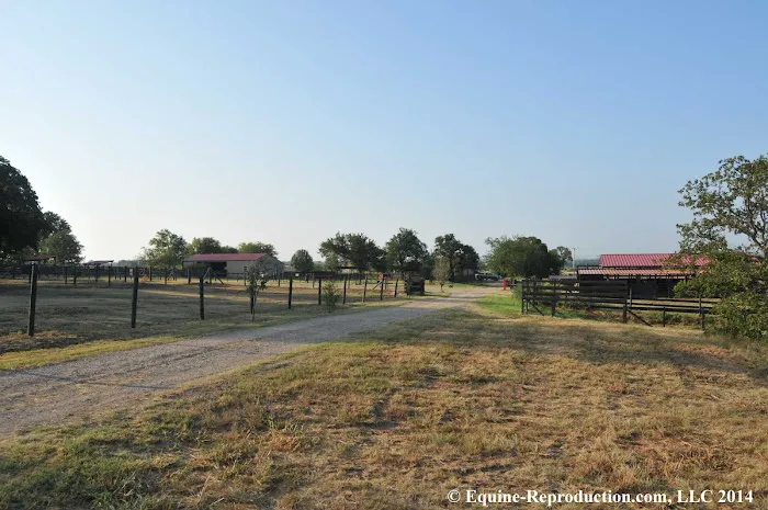 Equine-Reproduction.com LLC Picture 4