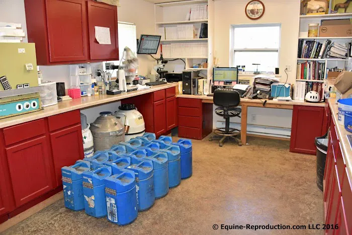 Equine-Reproduction.com LLC Picture 2