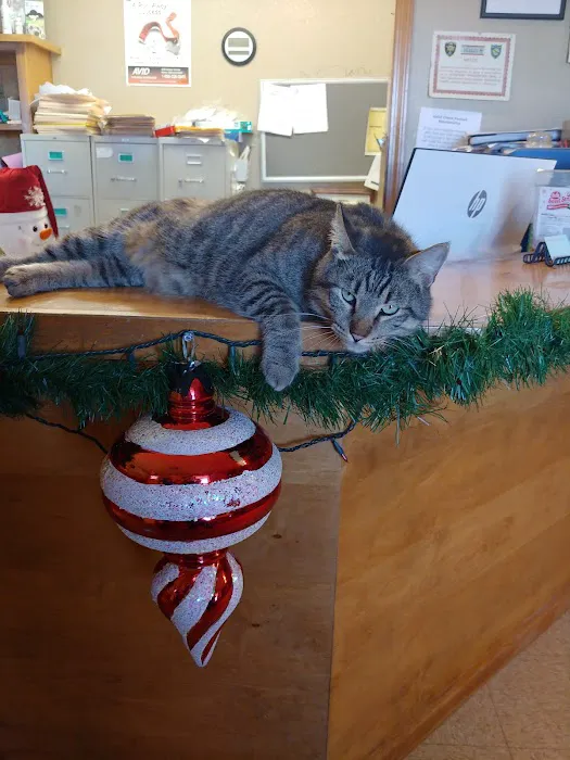 Green's Veterinary Clinic Picture 1