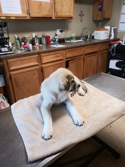 Green's Veterinary Clinic Picture 6