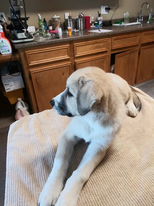 Green's Veterinary Clinic Picture 10