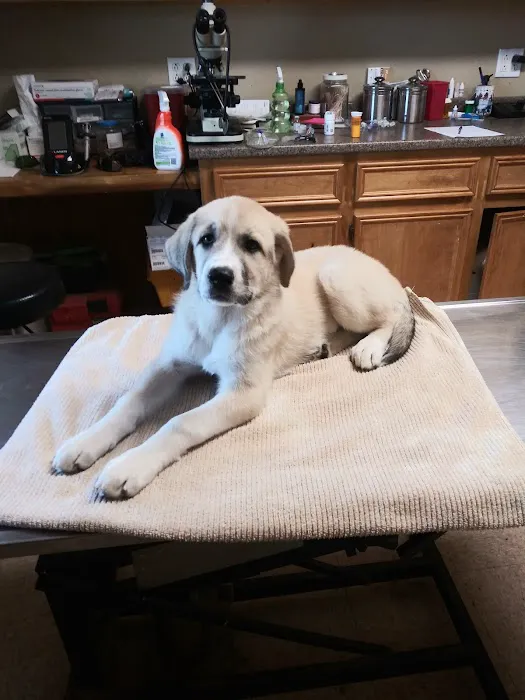 Green's Veterinary Clinic Picture 8