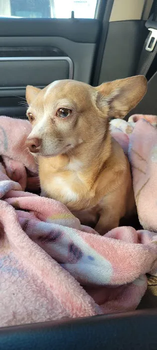 Grassland Veterinary Services Picture 2