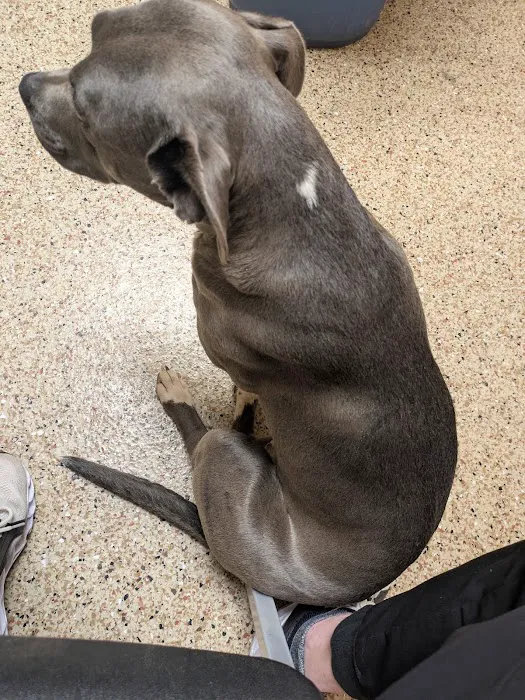 Grassland Veterinary Services Picture 5