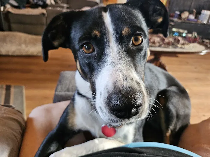 Grassland Veterinary Services Picture 4