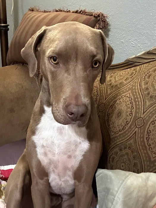 Grassland Veterinary Services Picture 8