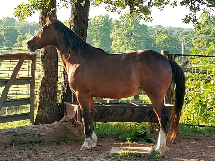 Grassland Veterinary Services Picture 10