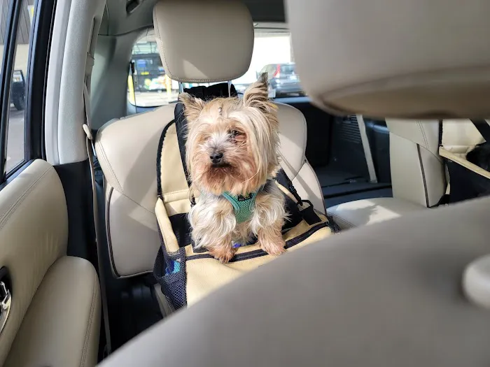 Lindsay Veterinary Hospital Picture 1