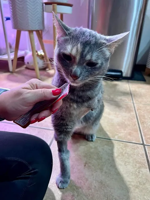 Lindsay Veterinary Hospital Picture 6