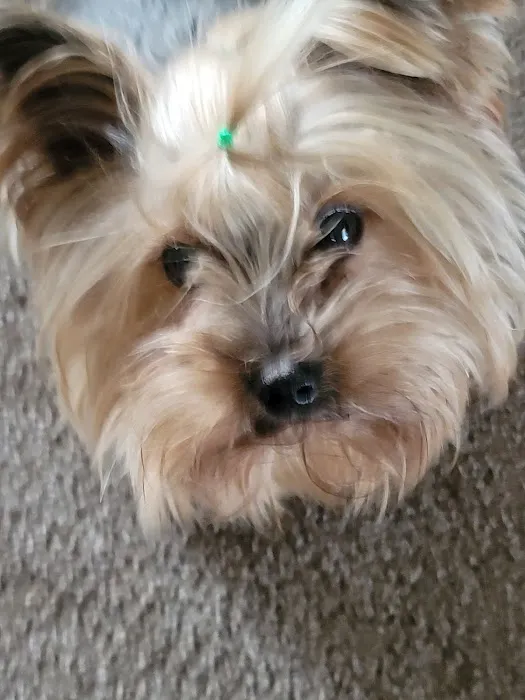 Lindsay Veterinary Hospital Picture 3