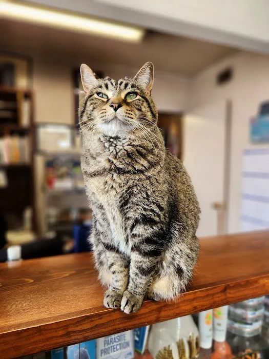 Lindsay Veterinary Hospital Picture 4