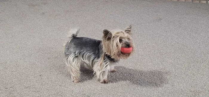 Lindsay Veterinary Hospital Picture 2