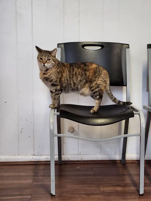 Lindsay Veterinary Hospital Picture 5