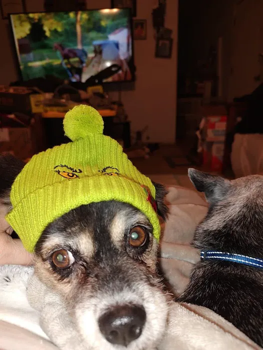 Lindsay Veterinary Hospital Picture 8