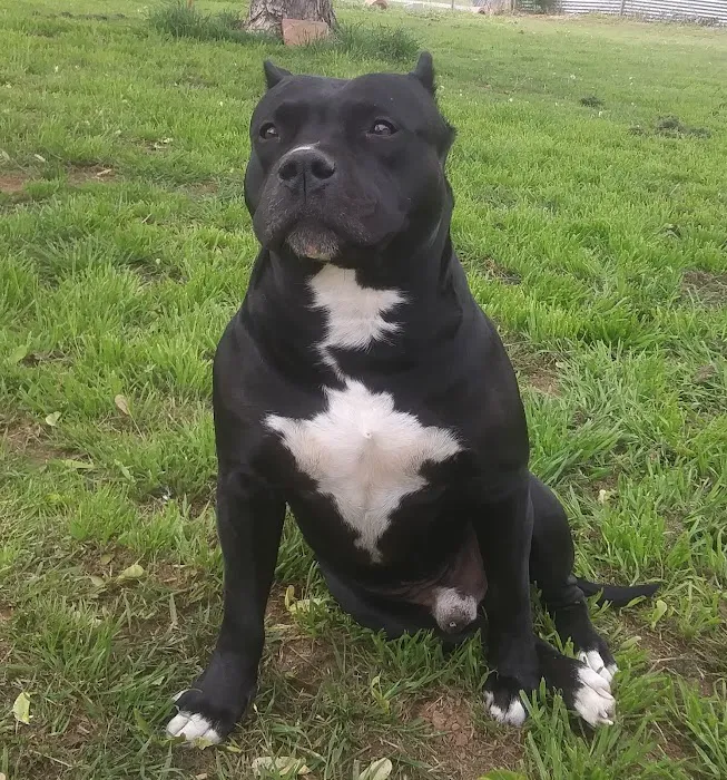 Lindsay Veterinary Hospital Picture 10