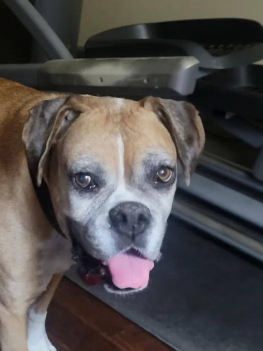 Garvin County Veterinary Hospital Picture 1