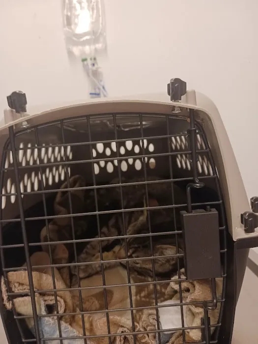 Garvin County Veterinary Hospital Picture 2