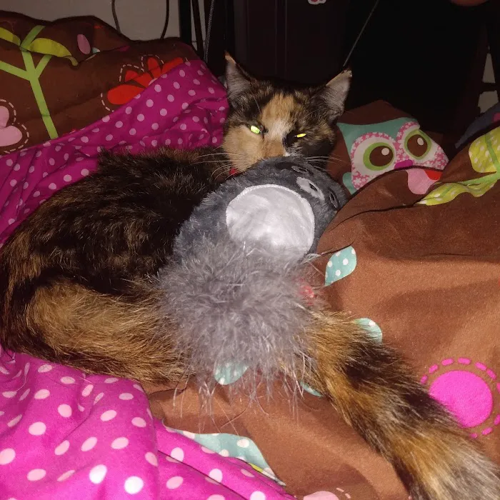 Perry Veterinary Hospital Picture 1