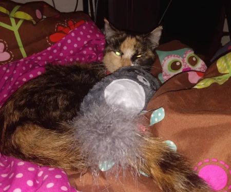 Perry Veterinary Hospital