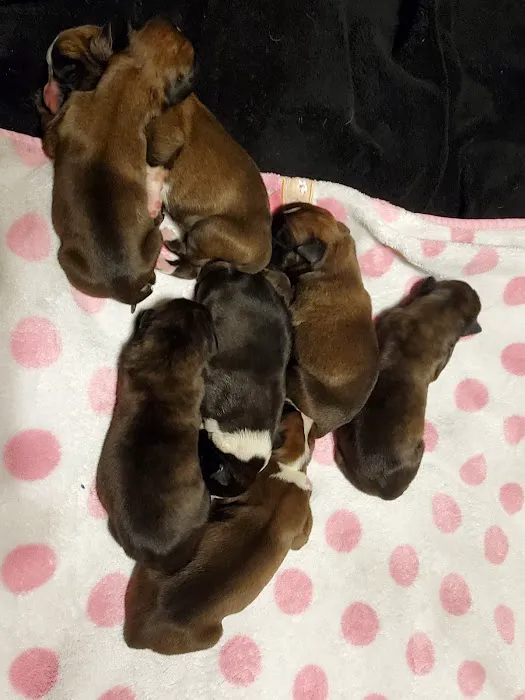 Perry Veterinary Hospital Picture 2