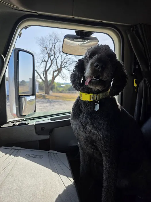 Perry Veterinary Hospital Picture 3