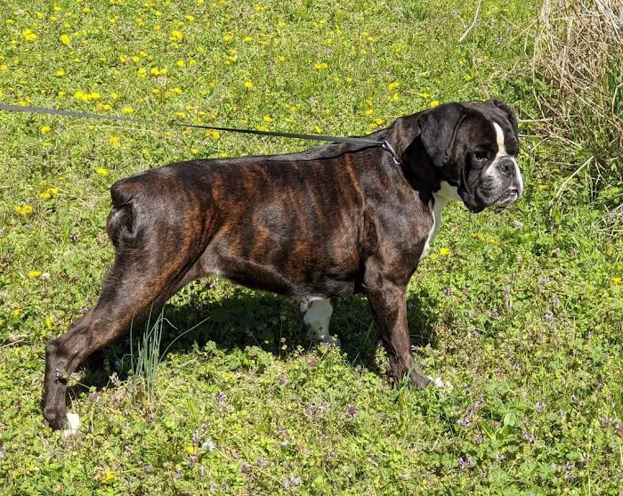 Perry Veterinary Hospital Picture 6