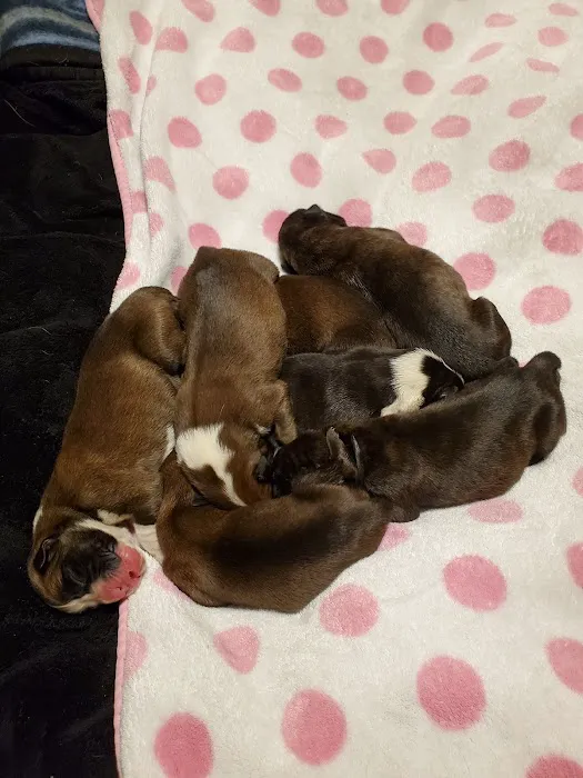 Perry Veterinary Hospital Picture 5