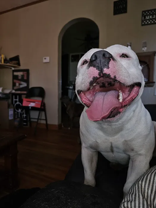 Perry Veterinary Hospital Picture 7