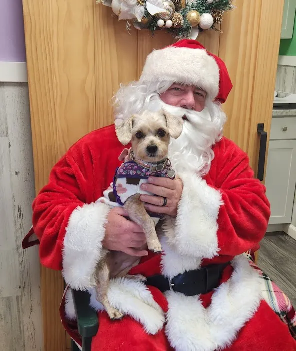 Pioneer Vet Clinic and Resort Picture 2