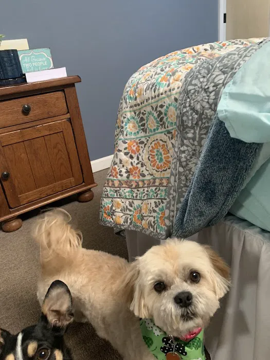 Pioneer Vet Clinic and Resort Picture 7