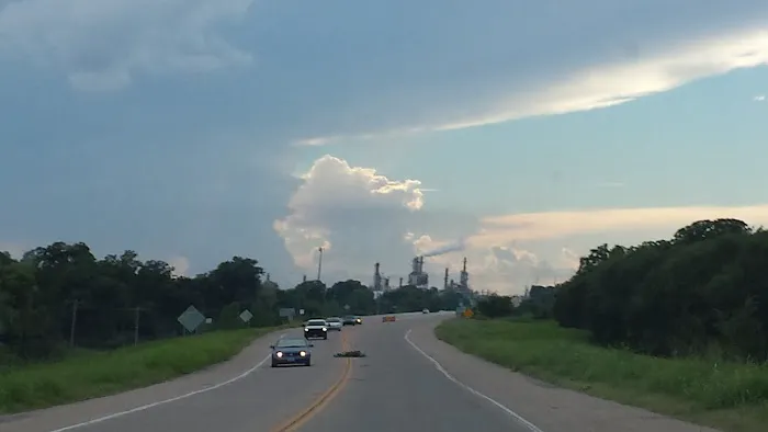 Pioneer Vet Clinic and Resort Picture 9