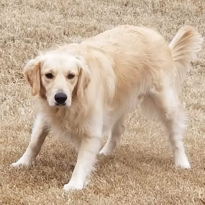 Kinkaid Veterinary Hospital Picture 1