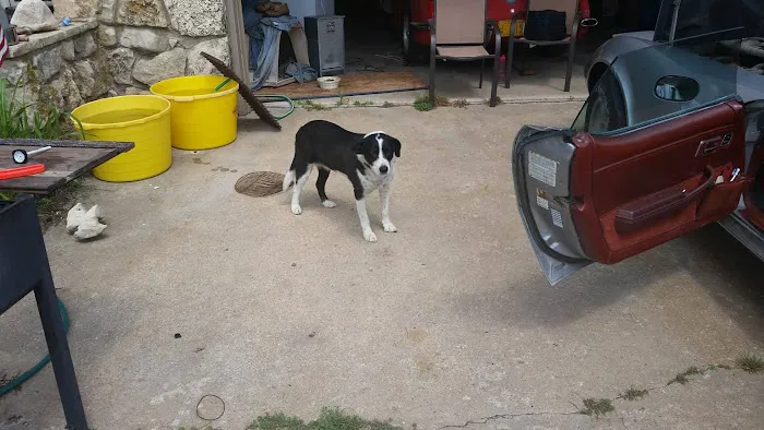 Kinkaid Veterinary Hospital Picture 3