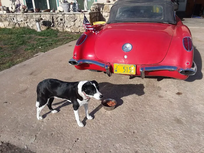 Kinkaid Veterinary Hospital Picture 2