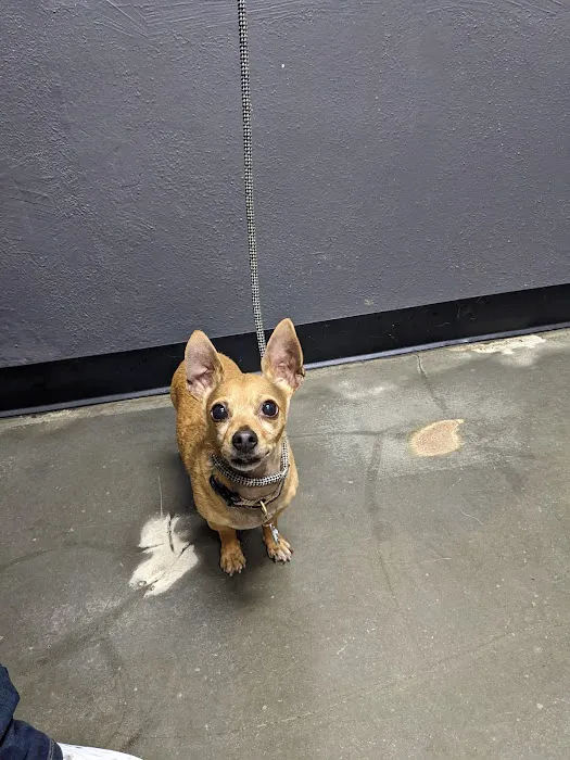 Kinkaid Veterinary Hospital Picture 5