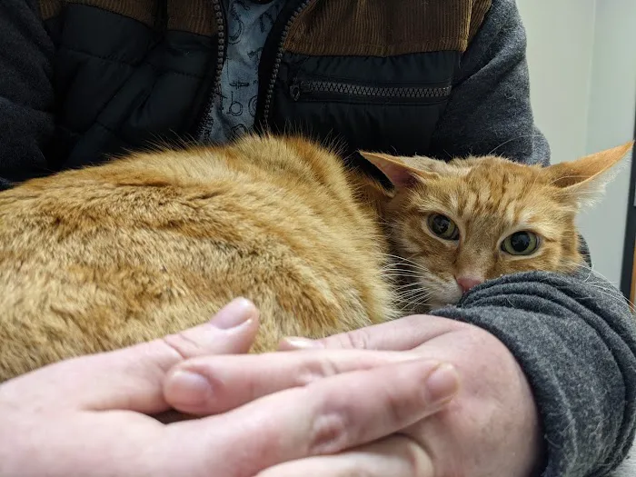 Kinkaid Veterinary Hospital Picture 6