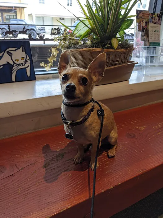 Kinkaid Veterinary Hospital Picture 7