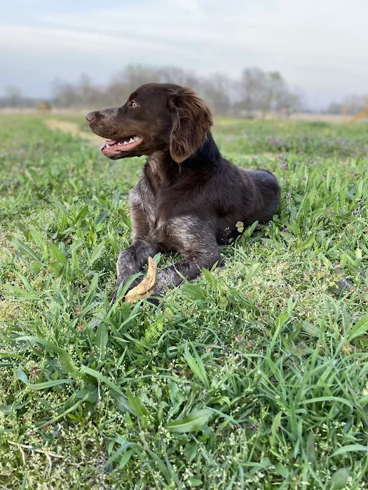 Kinkaid Veterinary Hospital Picture 8