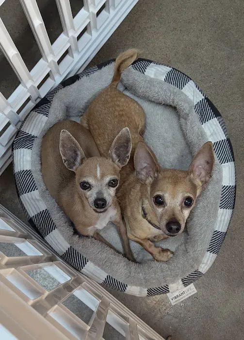 Kinkaid Veterinary Hospital Picture 10