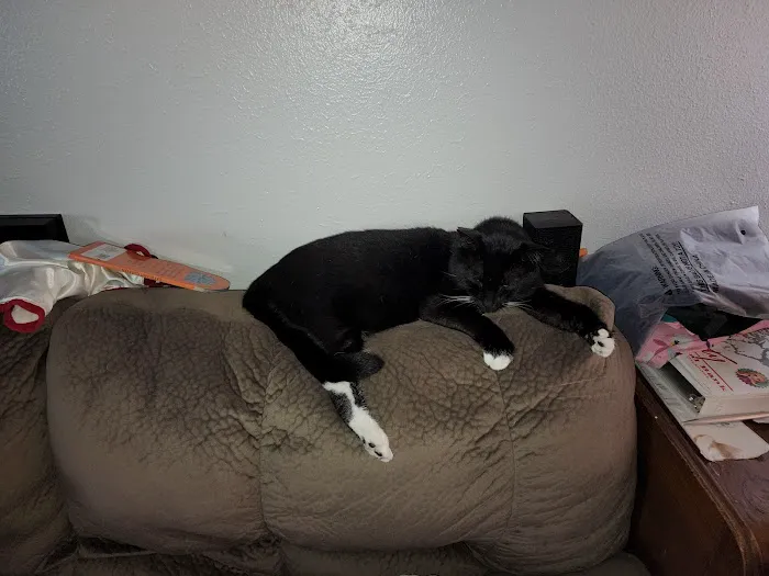 Ponca Animal Hospital Picture 2