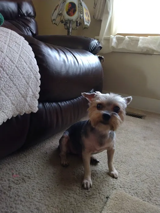 Ponca Animal Hospital Picture 3