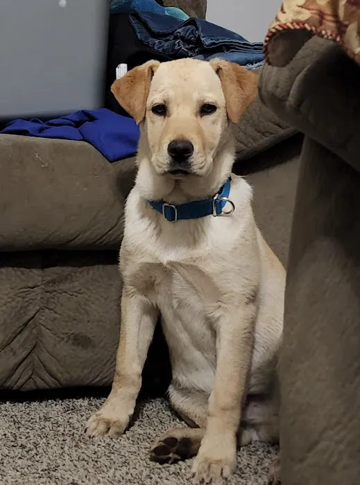 Ponca Animal Hospital Picture 1