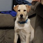 Ponca Animal Hospital