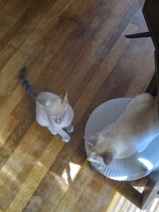 Ponca Animal Hospital Picture 7